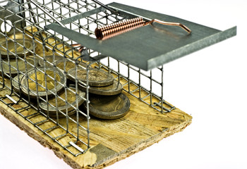 Mouse trap