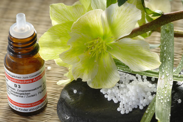 Globuli mit Helleborus Niger Nieswurz