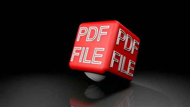 PDF FILE springt