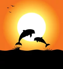Muurstickers Dolfijnen bij zonsondergang © Daniel Wiedemann
