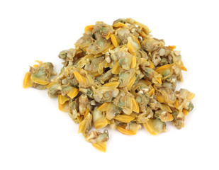 Small clams on white background