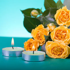 Beautiful yellow roses