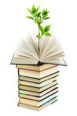 Books and plant
