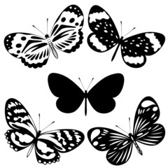 Fototapeta na wymiar Set black white butterflies of a tattoo