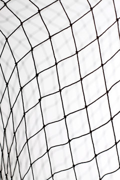 Netz