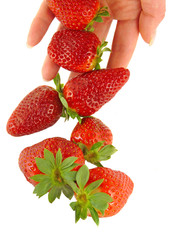 Strawberry falls on women's hands