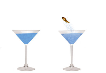 goldfish