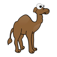 camel vector illustration