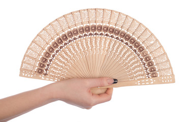 Female hand holding a fan
