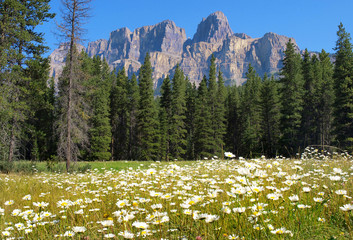 Kanadische Rocky Mountains