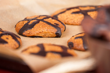 A plate of chocolate cookies