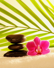 Obraz na płótnie Canvas Massage stones and orchid.