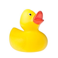 Rubber duck isolated on the white background