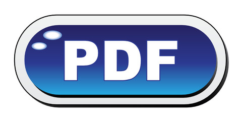 PDF ICON