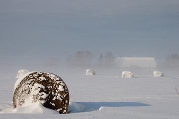Winter landscape with fog and bale