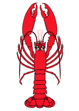 Lobster. Vector clip-art.