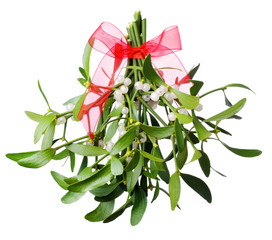 Hanging green mistletoe with a red bow