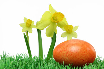 osterein in frühlingswiese