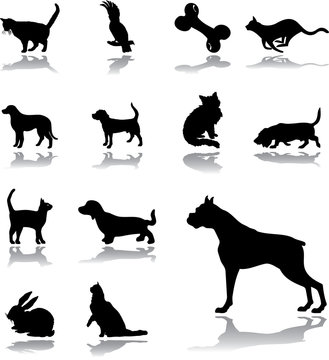 Set icons - 191. Pets