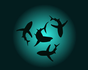 silhouettes of sharks