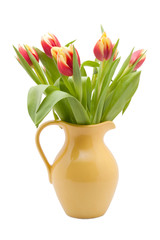 rot gelbe Tulpen in gelber Vase freigestellt weisser Hintergrund