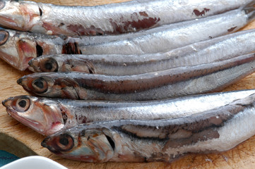 Sardina