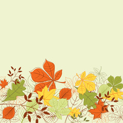 Autumn leaves background