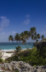 Fototapeta na wymiar Bottom Bay Beach - Barbados