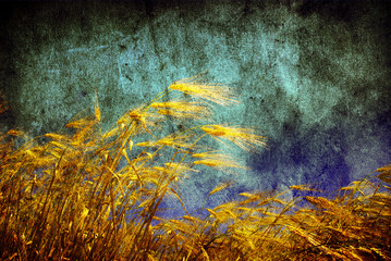 grunge wheat