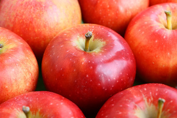 close-up red apples