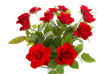 Bouquet of red roses over white background