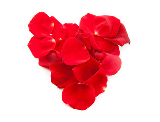 red rose petals in shape of heart over white background
