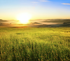Fototapeta na wymiar Rural field at morning