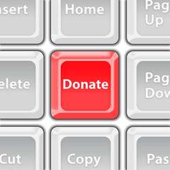 donate button