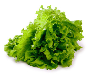 Bush of fresh leaves of green salad isolated on a white