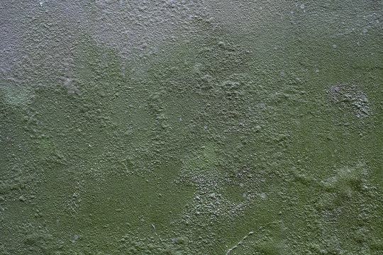 abbl&auml;tternde Wandfarbe - Textur