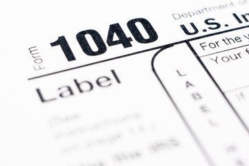 American tax form 1040 for year 2010