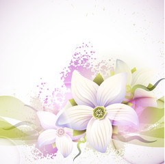Vector Floral background for design