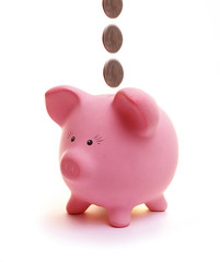 Piggy bank with falling coins isolated on white