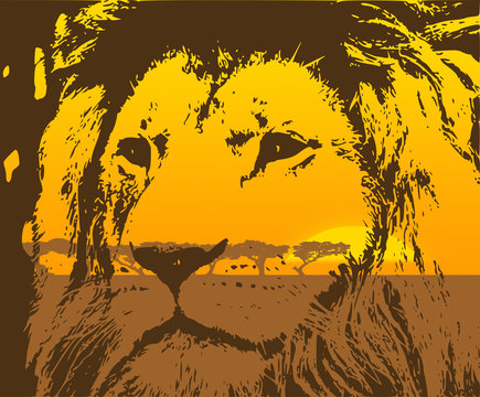 portrait of african lion with view on savannah