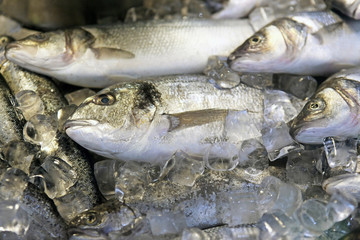 Fresh fish on ice on the market
