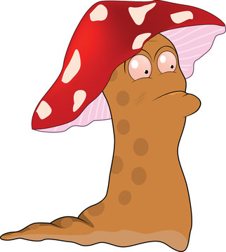 Snail a fly agaric.Cartoon.