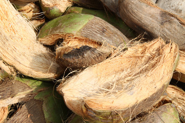 d&eacute;chets de noix de coco 03