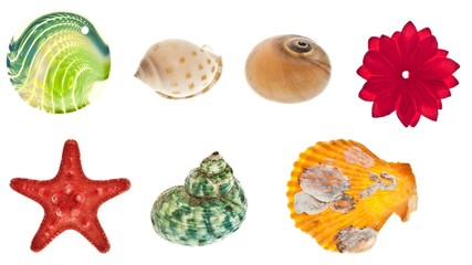 Collage of sea objects