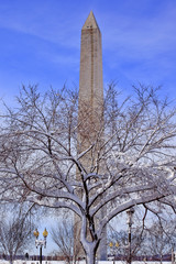 Washington Monument After the Snow Washington DC