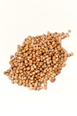 seeds of coriander
