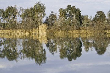 etang en soirée