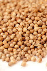 A close-up of seeds of coriander