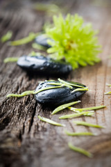 Stones with water drops