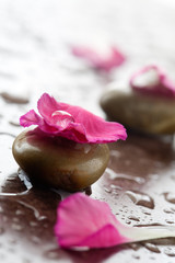 Stones with water drops